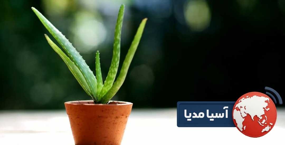 آبیاری
