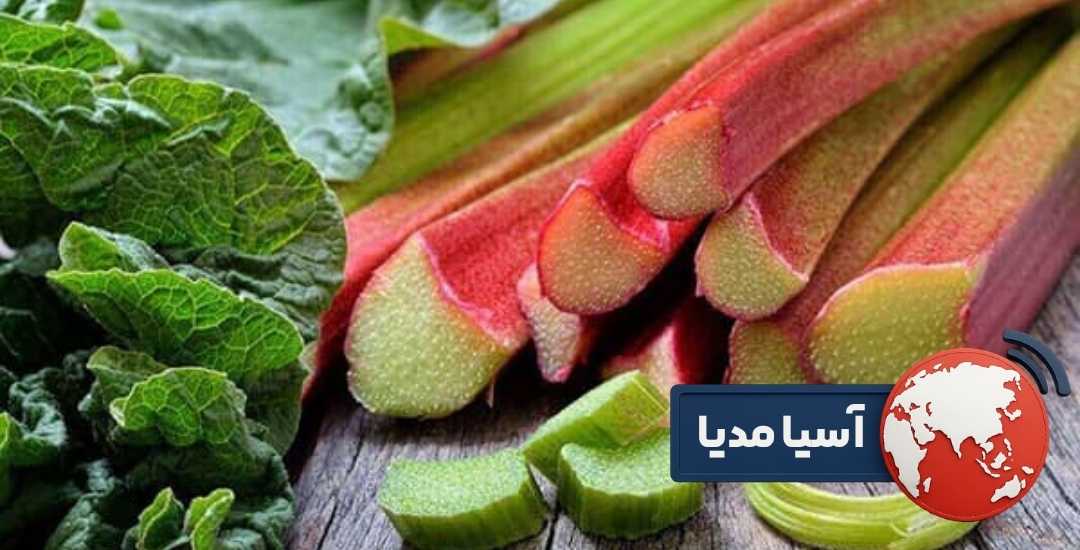 طرز تهیه ریواس