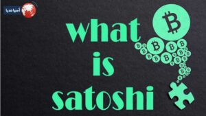 ساتوشی چیست؟ 