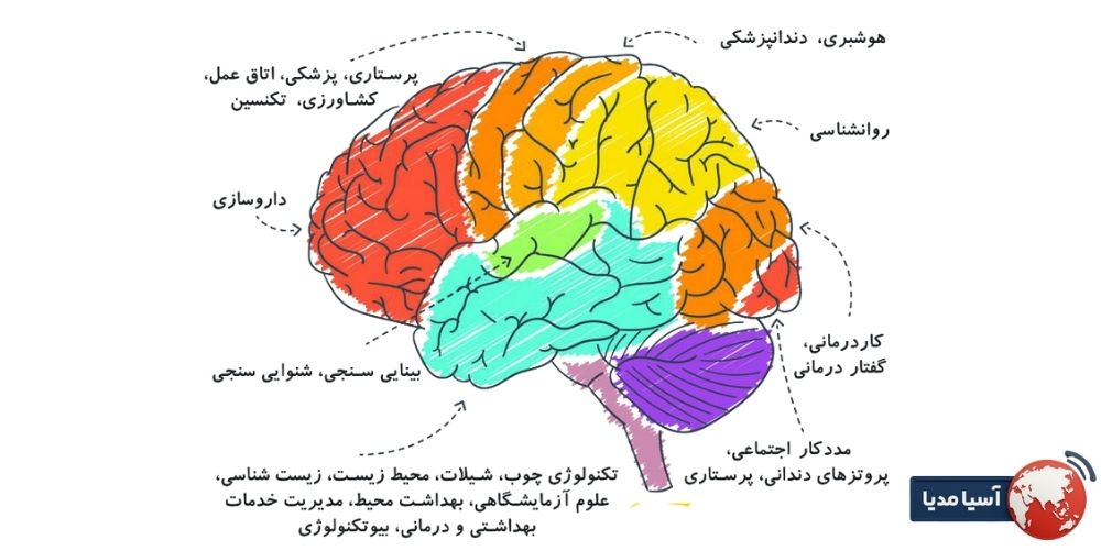 جدول مقایسه ای رشته ها و سطح شانس قبولی