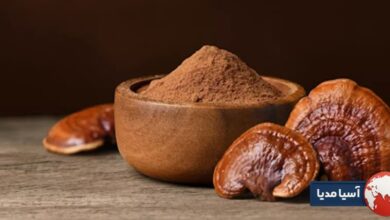 نظرات در مورد قارچ گانودرما نظر پزشکان در مورد قارچ گانودرما