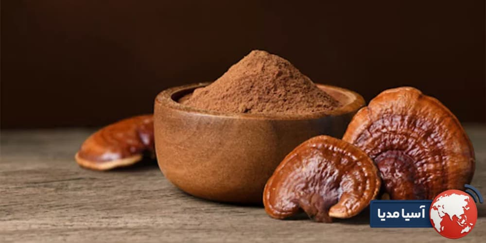 نظرات در مورد قارچ گانودرما نظر پزشکان در مورد قارچ گانودرما