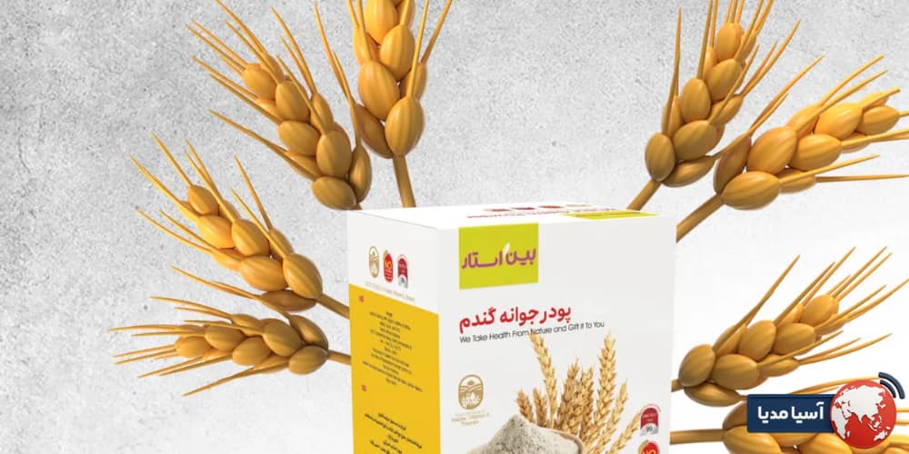 جمع‌بندی: نتیجه‌گیری از نظرات درباره پودر جوانه گندم دکتر بیز