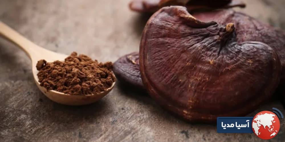 گانودرما در بیماری‌های خودایمنی و حساسیت‌ها