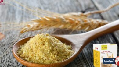 نظرات درباره پودر جوانه گندم دکتر بیز