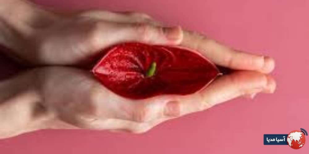 علائم بهبودی بعد از لیزر زگیل تناسلی و نشانه‌های آمادگی برای رابطه