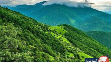 شهر کاراداغ کجاست