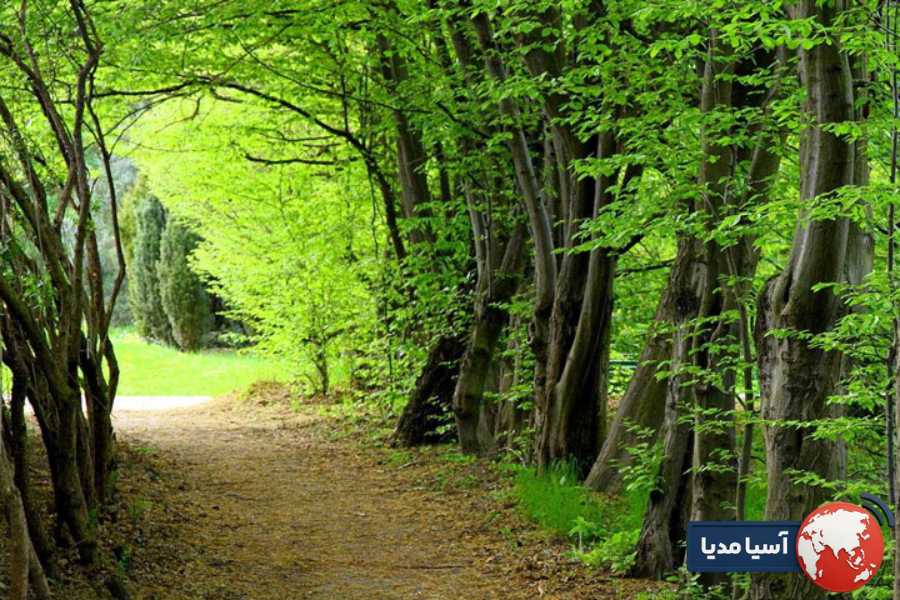 منطقه قره داغ ایران؛ طبیعتی بکر در دل آذربایجان شرقی