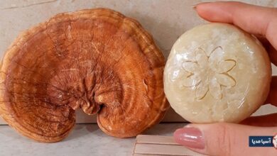 نظرات در مورد صابون گانودرما