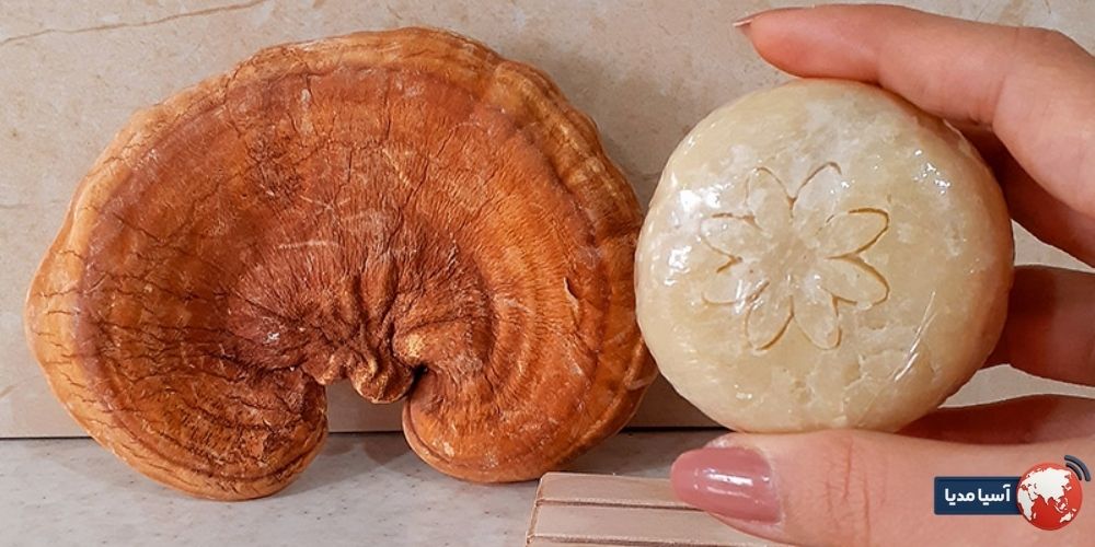 نظرات در مورد صابون گانودرما