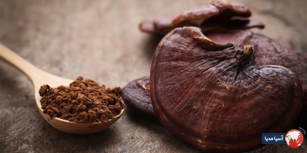 چرا نظرات کاربران در مورد صابون گانودرما مهم است؟