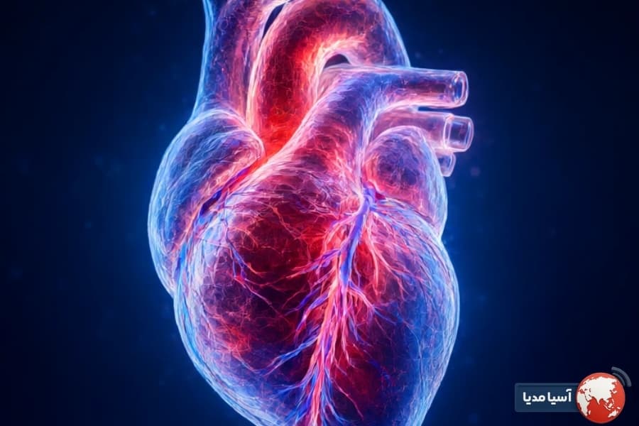 چرا فشار خون بالا خطرناک است؟